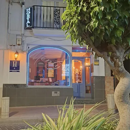 Montys נרחה